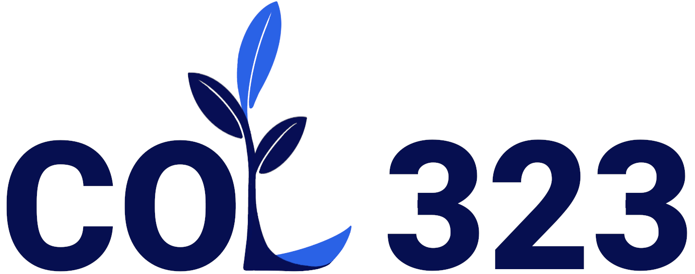 COL323 Your digital transformation partner